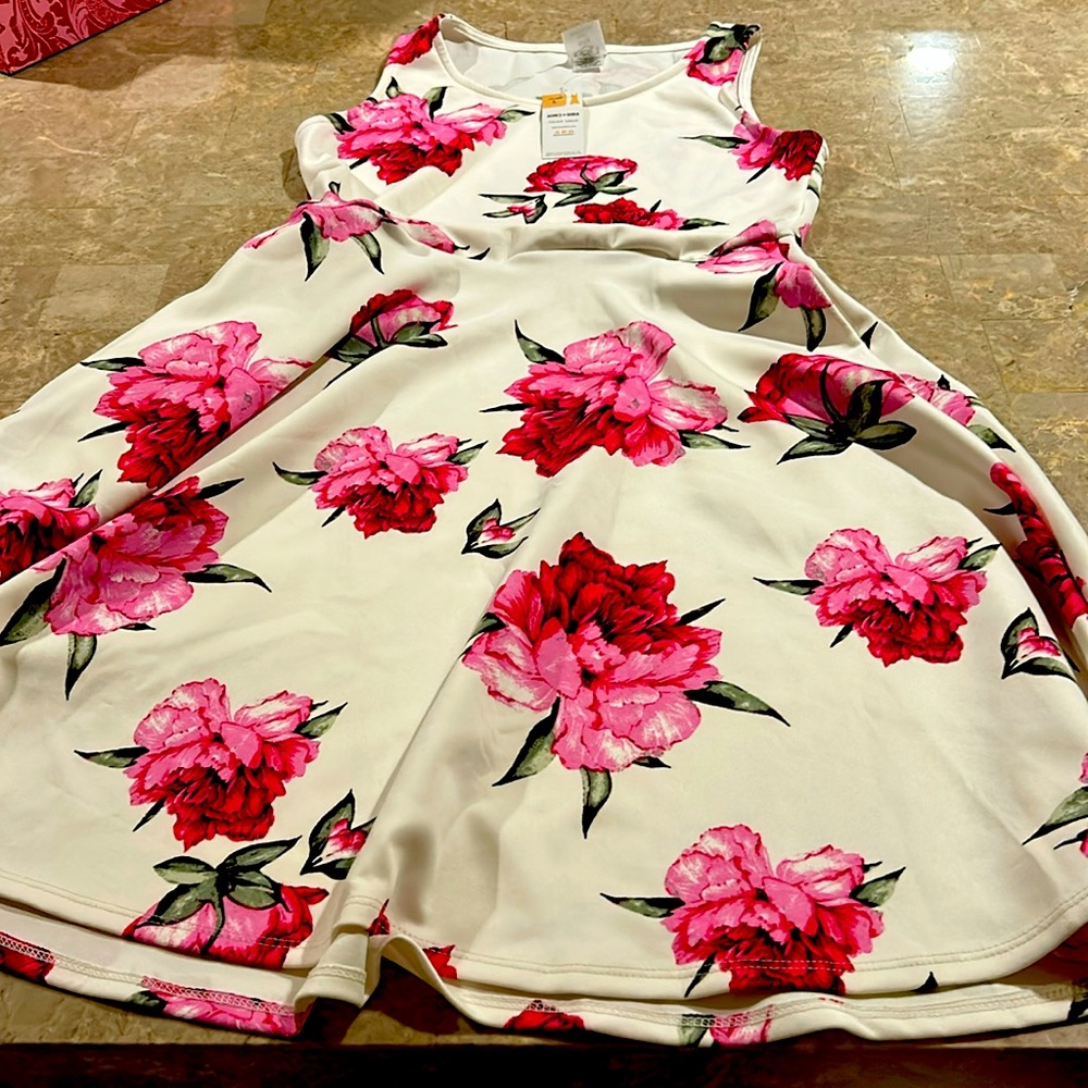 BNWT, agnes & dora fisher dress